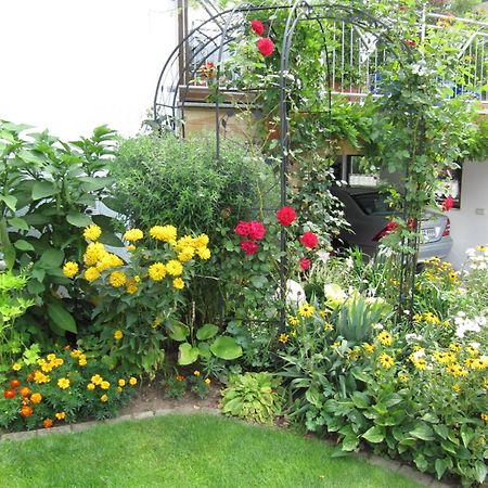 Abendstille Am Obstgarten Mit Terrasse Zapfendorf Buitenkant foto
